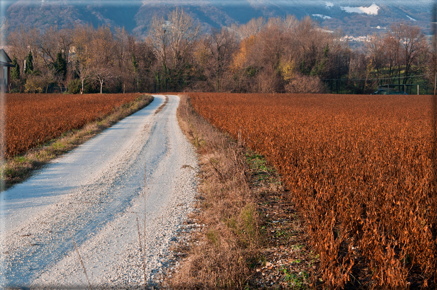 foto Pendici del Monte Grappa in Inverno